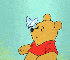 Winnie The Pooh Disney GIF