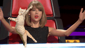 taylor swift dance GIF by The Voice