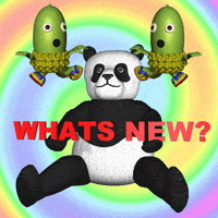 Brand New Panda GIF