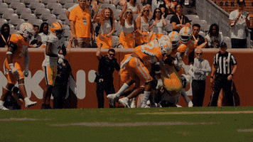 Football Ut GIF by Tennessee Athletics