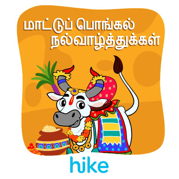 Thai Pongal Indian Sticker by Hike Messenger for iOS & Android | GIPHY
