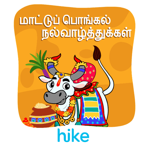 Thai Pongal Indian Sticker by Hike Messenger for iOS & Android | GIPHY Thai Pongal Indian Sticker by Hike Messenger for iOS & Android | GIPHY