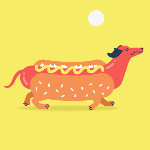 hot dog dachshund GIF by Jackie Lay
