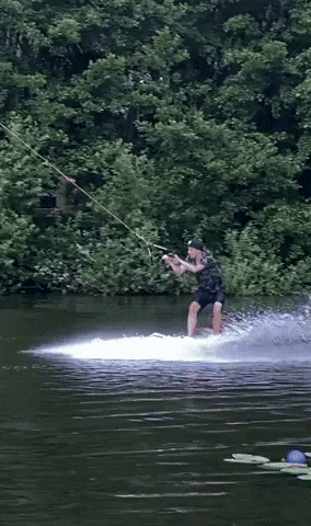 GIF by BangProof