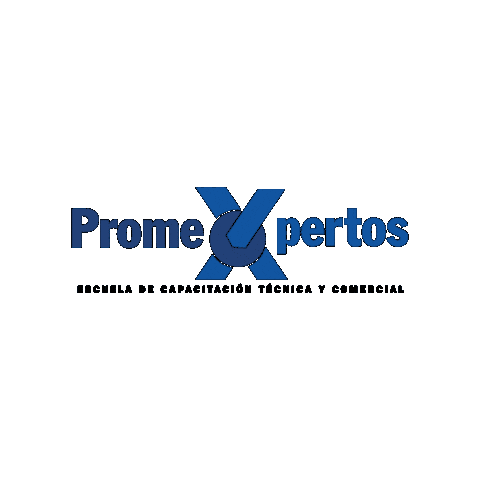 Promesaecuador Sticker by Promesa