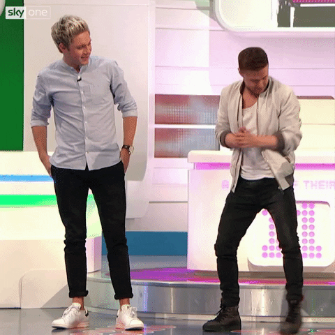 celebrate one direction GIF by Sky