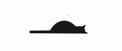 Cat GIF