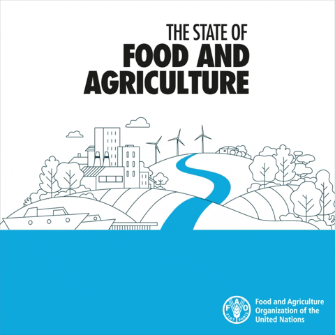 Food And Agriculture Organization Water GIF by FAO