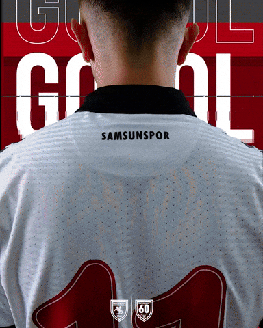 King Of The North GIF by SAMSUNSPOR