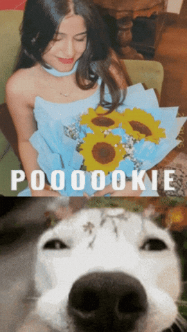 Cutie Saloni GIF