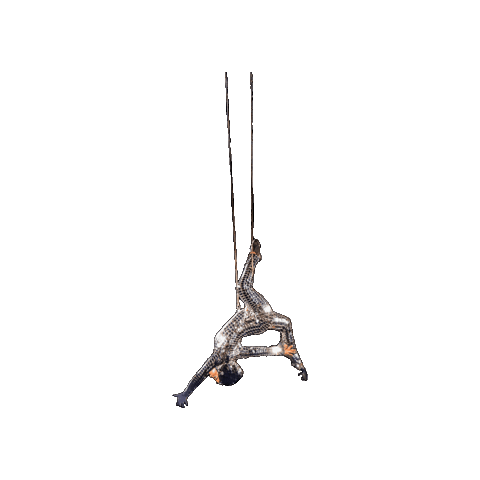 Sparkle Acrobatics Sticker by Ringling Bros. and Barnum & Bailey