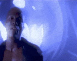 Seal GIF