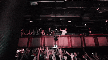 Lost In Translation Rock GIF by New Politics