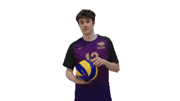 Volleyball Gopanthers Sticker by University of Brighton