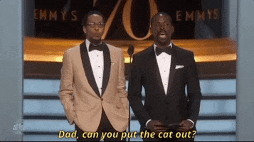 Emmy Awards Dad Jokes GIF by Emmys