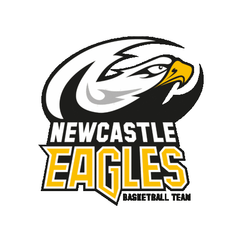 Basketball Retro23 Sticker by Newcastle Eagles