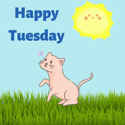 Illustrated gif. A cat bats at a butterfly in the grass as a smiling sun whirls in the blue sky above. Text, "Happy Tuesday."