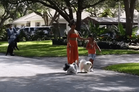 giphy.gif?cid=4d1e4f297ce86444c276697765