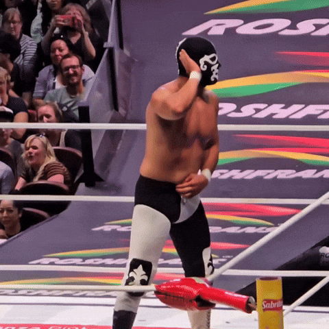 Lucha Libre Wrestling GIF