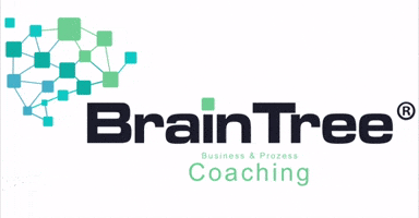 BrainTreeSolutions GIF