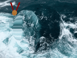 200.gif?cid=fc005b08a24551b123b6a4c89dbb752e5e3f68effde8de93&rid=200.gif&ct=g