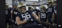 Georgia Tech GIF