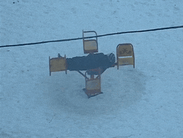 phe  GIF