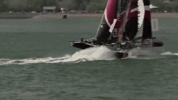 farkers  GIF