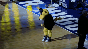 Denver Nuggets Dancing GIF by NBA