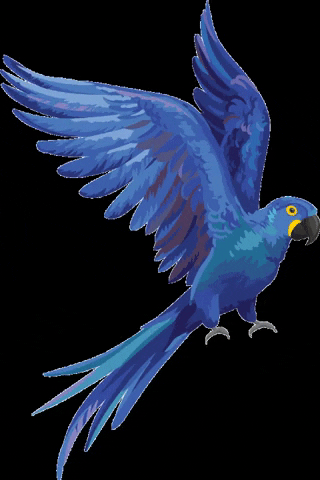 macaw GIF by Fundação Grupo Boticário