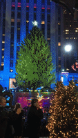 new york city christmas GIF by LifeMinute.tv