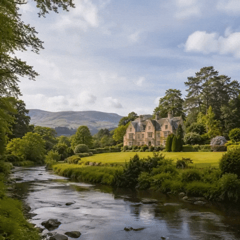 Pink Hotel GIF by Thackray House