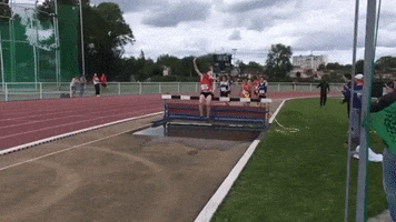 Fight GIF