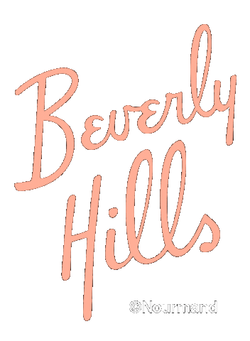 Real Estate Art Sticker by Nourmand & Associates