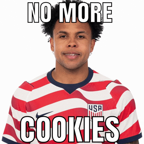 Fifa World Cup Weston GIF