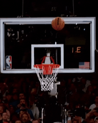 Celebrating Nba Finals GIF