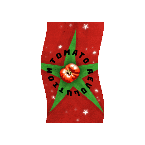 Christmas Star Seed Sticker by Tomato Revolution seeds