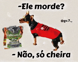 Deyverson Eliminado GIF