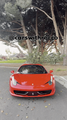 Ferrari GIF