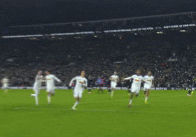 Leeds United Football GIF