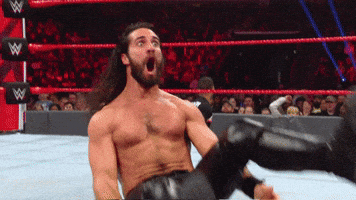 Seth Rollins Pain GIF by WWE