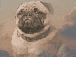 Love Hurts Dog GIF by GIPHY Studios Originals