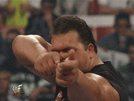 Wwe GIF