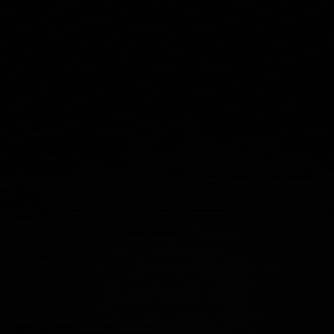 Coffee Veracruz GIF by Cafe Andrade Oficial