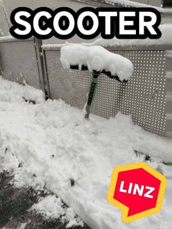 Snow Wow GIF by Linz News