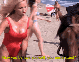 Behave Yourself GIF by Baywatch