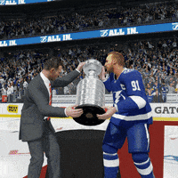 stanley cup nhl GIF