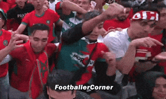Morocco Calm Down GIF