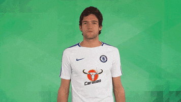 cfc love GIF by Chelsea FC