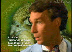 bill nye